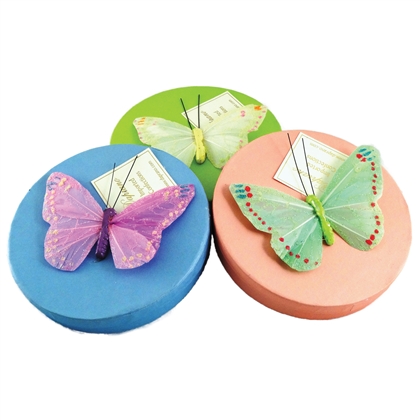 Pastel Butterfly Box