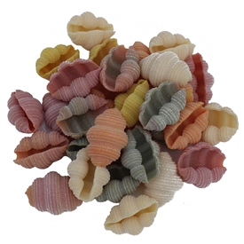 Sea Conch Shells "Conchiglioni" Colored Pasta
