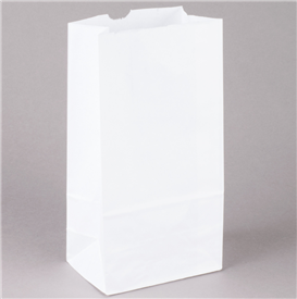500 White Paper Bags, 6 lb