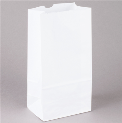 500 White Paper Bags, 6 lb